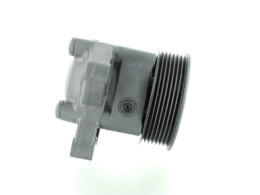 Купить 54888 GKN-Spidan Насос рулевого управления