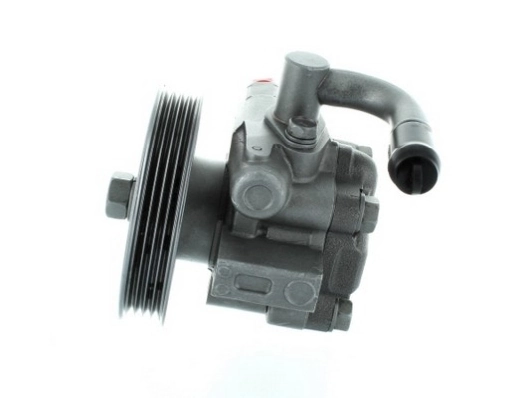 Купить 54578 GKN-Spidan Насос рулевого управления