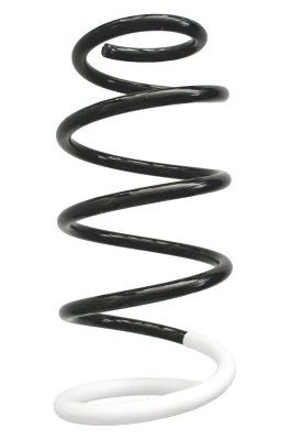 Купить 601092D Maxgear Винтовая пружина подвеска