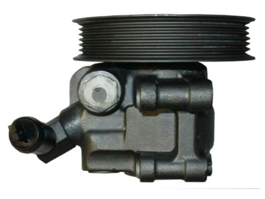 Насос гидроусилителя руля Polcar S5032004