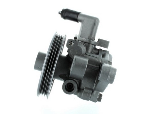 Купить 54951 GKN-Spidan Насос рулевого управления