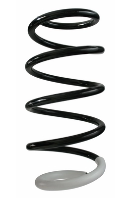  Передняя пружина Renault Kangoo 2