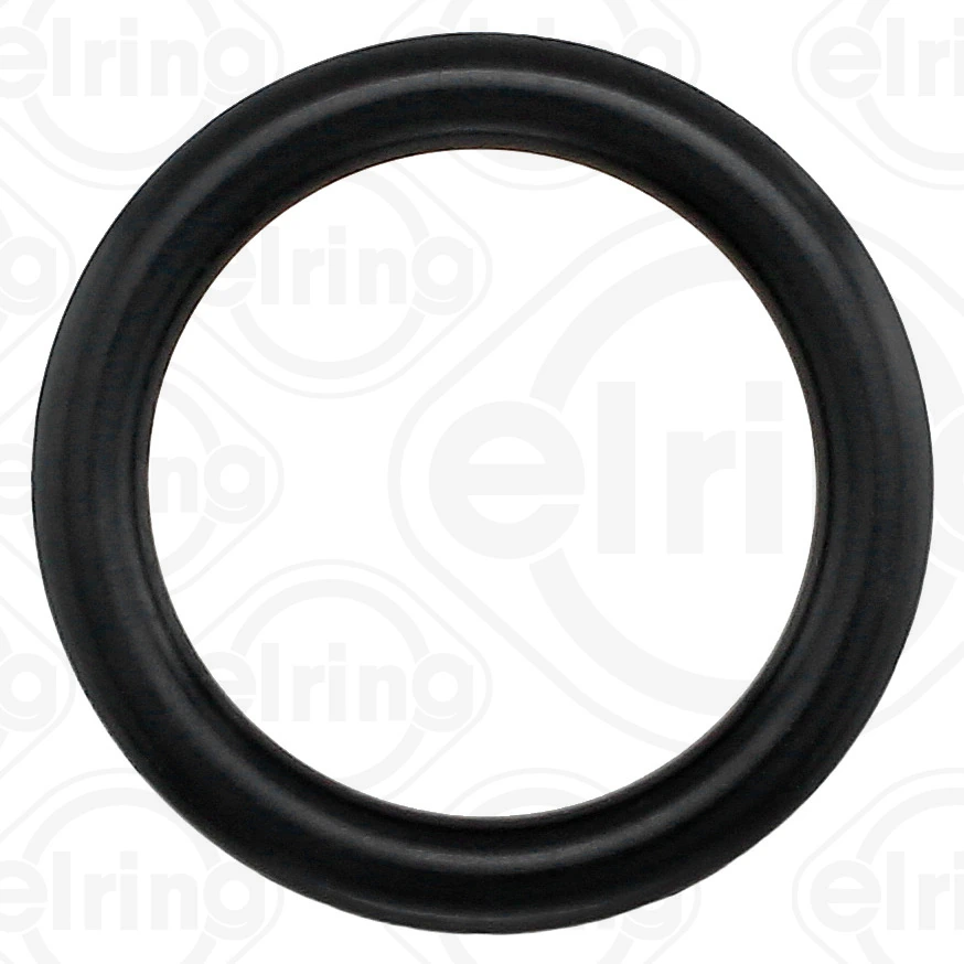 Vedante de tubo coletor de admissão Peugeot 206 2E, K