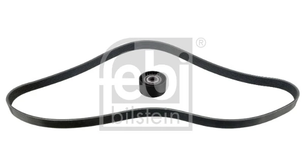 Ремень агрегатов приводной, комплект Renault (RVI) 117201947R цена, от 66.91 USD