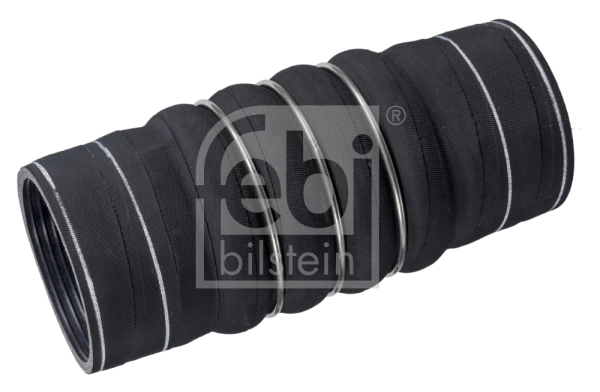 38084 Febi