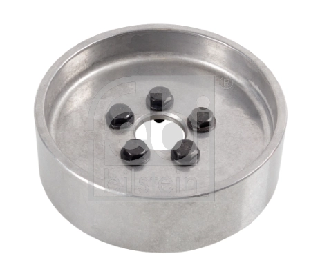 Polia da bomba de água Renault Trucks MAGNUM 4