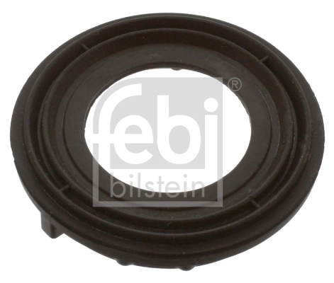 43747 Febi