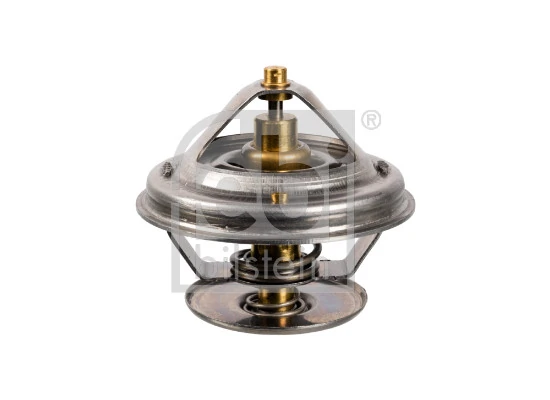 Termostato MAN TGX 1