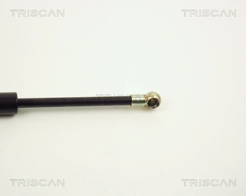 Амортизатор задней двери Triscan 87101009 цена, от 7.98 USD