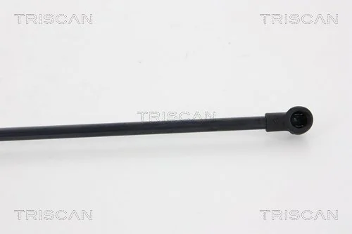 Амортизатор задней двери Triscan 871028237 цена, от 11.29 USD
