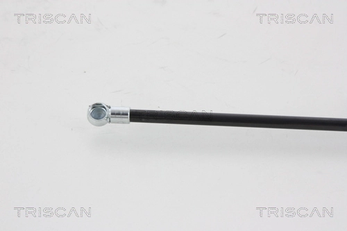 Амортизатор задней двери Triscan 871025221 цена, от 10.43 USD