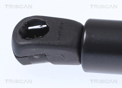8710292062 Triscan Амортизатор крышки багажника