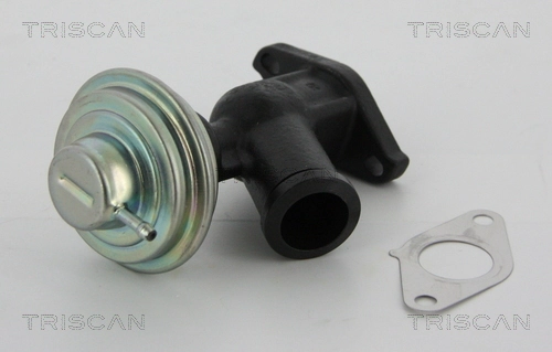 881310011 Triscan