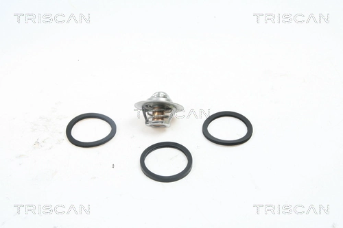 Termostato Renault 21  S48