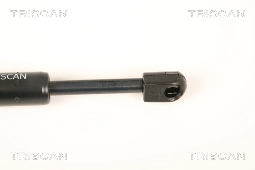 Амортизатор капота газовый Peugeot 406 купе (8C) (1997 - 2004) цена, от 12.69 USD