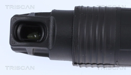 Amortecedor de tampa de porta-malas (de 3ª/5ª porta traseira) BMW X6 E71