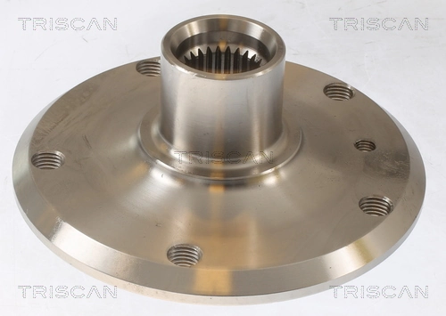 Cubo traseiro BMW 3 E46