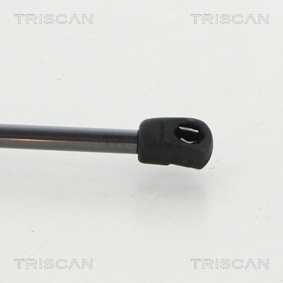 Амортизатор задней двери Triscan 8710292047 цена, от 15.60 USD