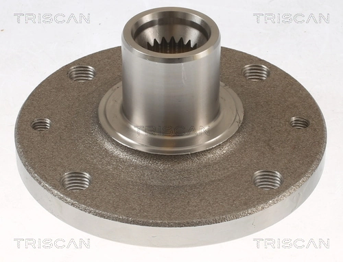 4020200QAA Nissan/Infiniti Ступица колеса передняя