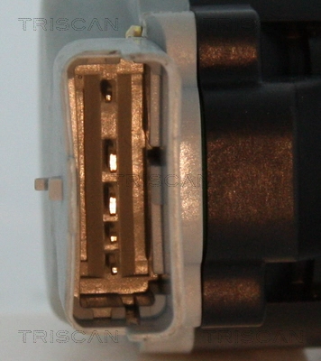 881317020 Triscan Клапан рециркуляции отработавших газов EGR