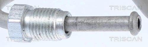 815028263 Triscan Шланг тормозной задний правый