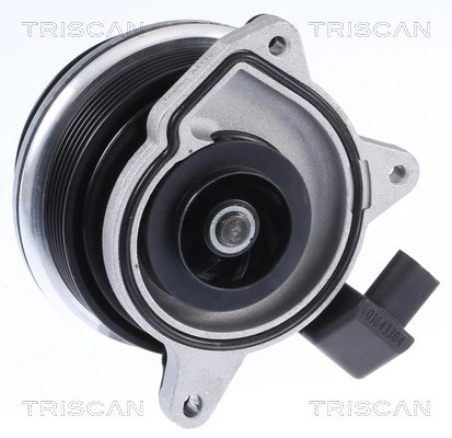 860029062 Triscan Насос водяной