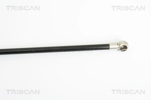 Амортизатор задней двери Triscan 871025229 цена, от 10.42 USD