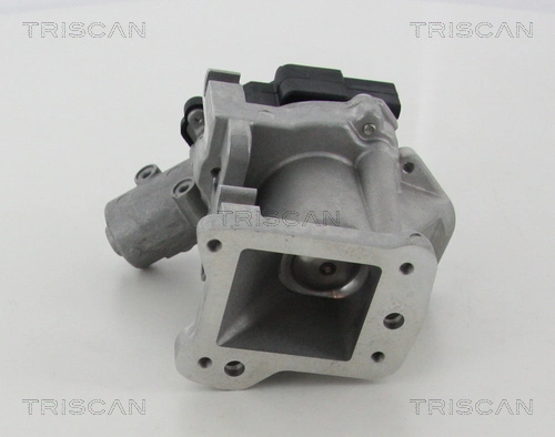 Купить 881310007 Triscan Клапан EGR системы рециркуляции отработавших газов
