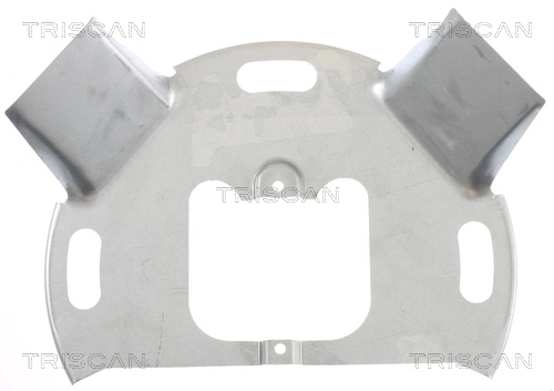 93821013 Fiat/Alfa/Lancia Пыльник тормозного диска переднего