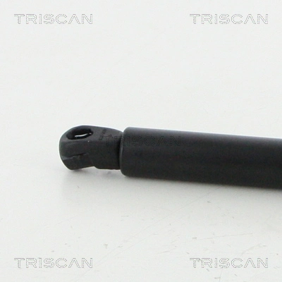 8710292047 Triscan Амортизатор крышки багажника