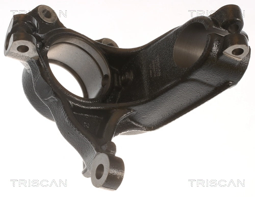 Цапфа (поворотный кулак) передний правый Triscan 850028704 цена, от 58.14 USD