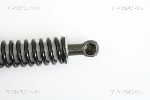 Амортизатор задней двери Triscan 871029264 цена, от 36.44 USD