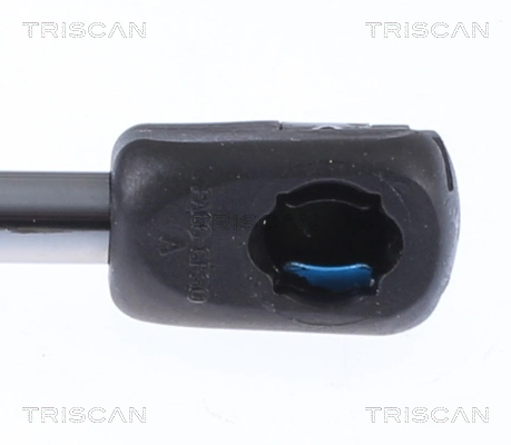 Купить Амортизатор капота Тесла Модел C  5YJS