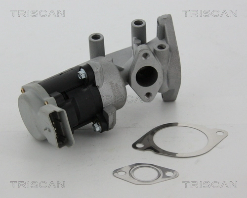 Купить 881317020 Triscan Клапан EGR системы рециркуляции отработавших газов