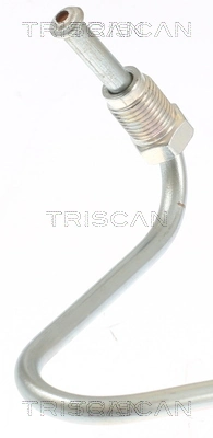 815029361 Triscan Шланг тормозной задний правый