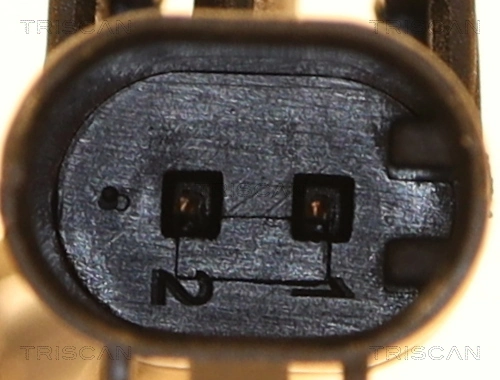818010321 Triscan
