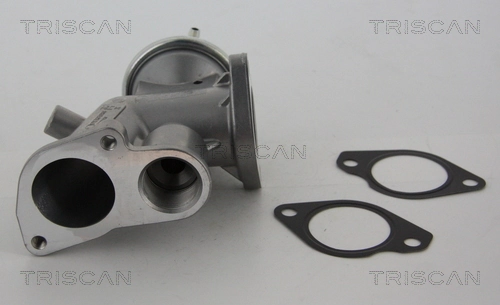 Купить 881324031 Triscan Клапан EGR системы рециркуляции отработавших газов