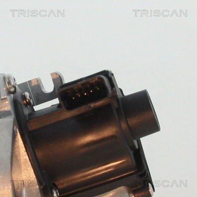 881310007 Triscan Клапан рециркуляции отработавших газов EGR