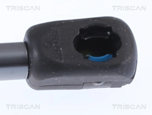 Амортизатор задней двери Triscan 8710292062 цена, от 7.16 USD