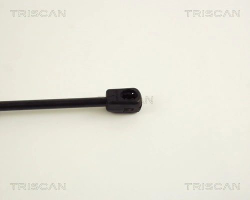 Амортизатор задней двери Triscan 871029231 цена, от 7.22 USD
