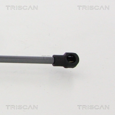 Амортизатор задней двери Triscan 871038248 цена, от 12.06 USD