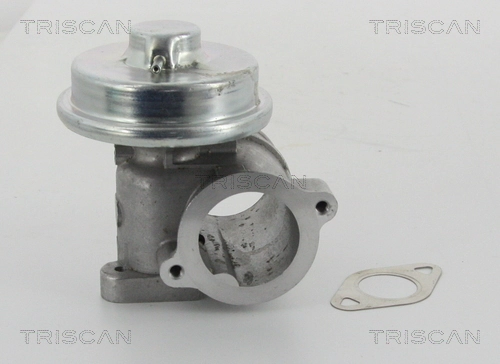 Клапан ЕГР EV111 Magneti Marelli
