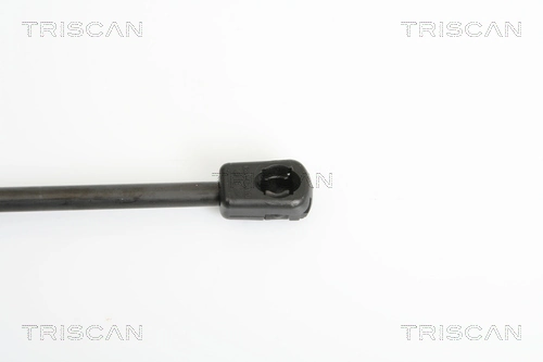 Амортизатор задней двери Triscan 871011225 цена, от 10.55 USD