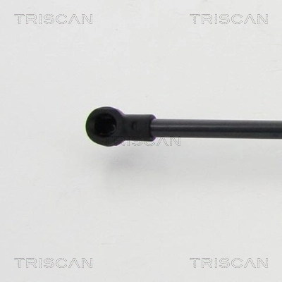 Амортизатор задней двери Triscan 8710292019 цена, от 12.09 USD