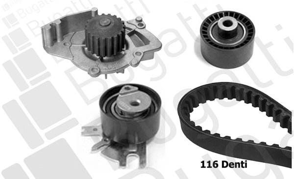 Correia do mecanismo de distribuição de gás, kit Citroen C8 EA, EB