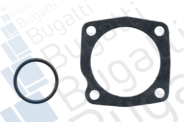 PA0517 Bugatti Водяной насос охлаждения, с корпусом
