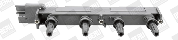 ZS348 Beru