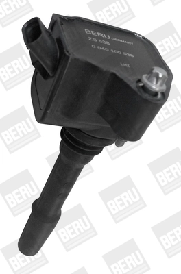 ZS538 Beru
