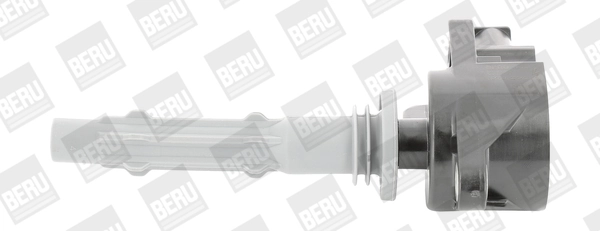 ZSE140 Beru