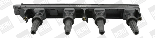 ZS352 Beru